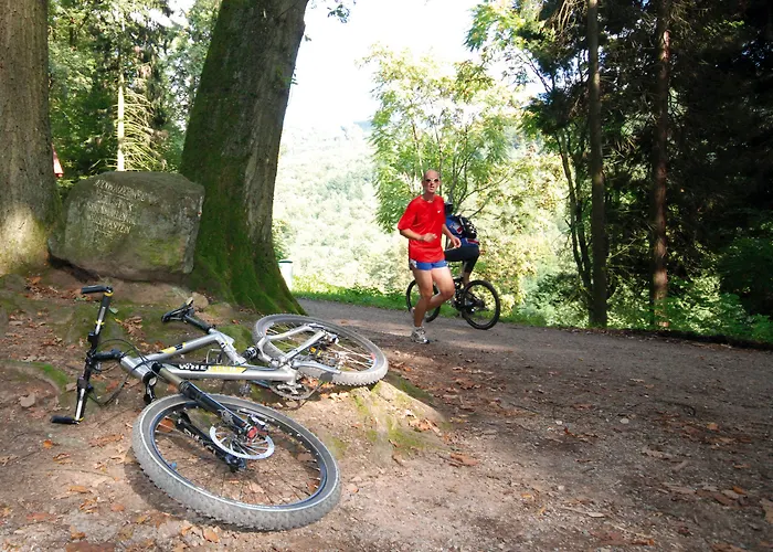 فندق Hirschgasse 4*