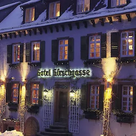Otel Hirschgasse