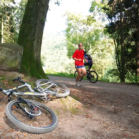 호텔 Hirschgasse 4*